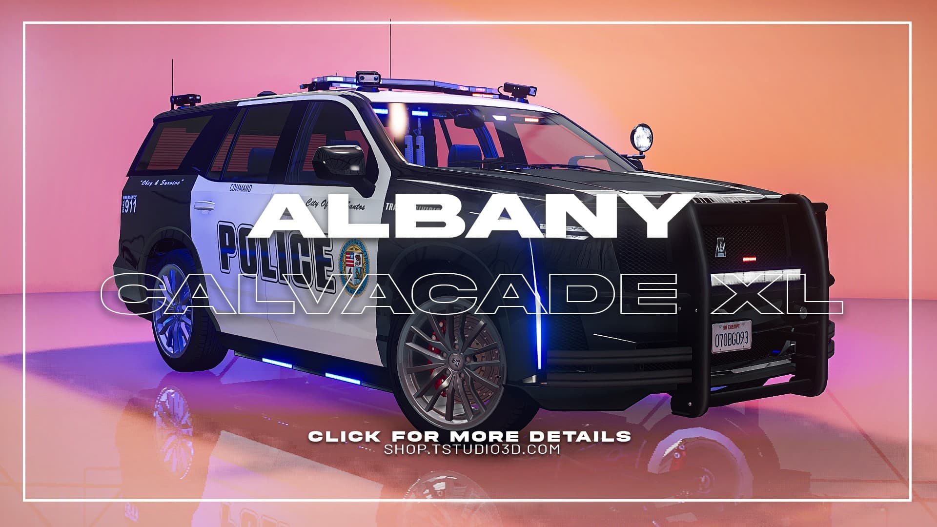 Albany Cavalcade XL Pursuit